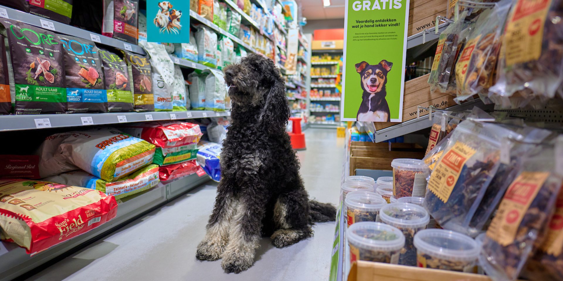 pets place Schalkwijk
